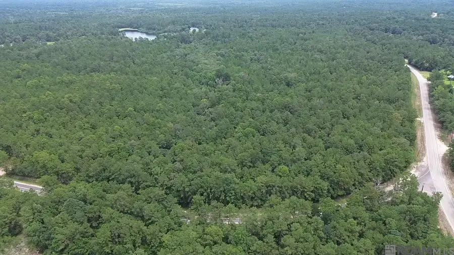 83166 Isabel Swamp Road, Bush, LA 70431 - Image #2