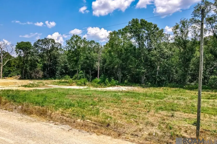 TBD 2 Tennant Ln, Zachary, LA 70791 - #2