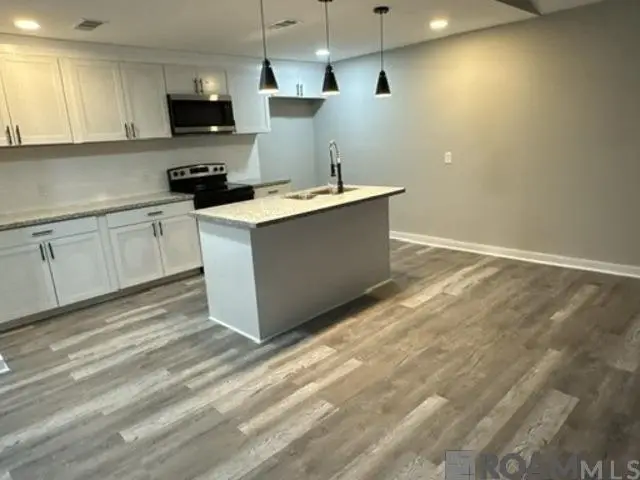 31690 River Pines Dr #31690, Springfield, LA 70462 - Image #3