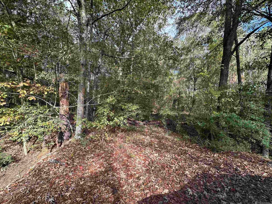 14087 Jackson Rd, Zachary, LA 70791 - Image #3