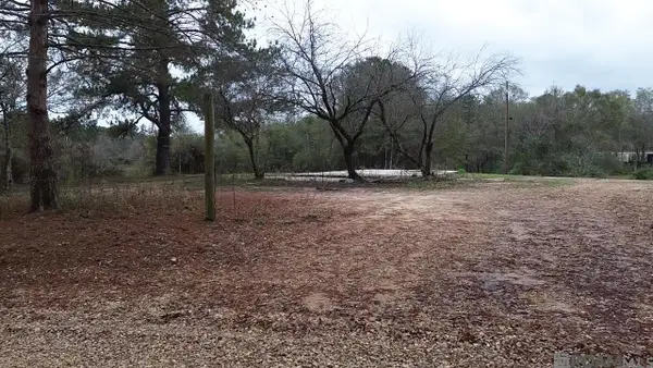 Tract B P Griffin Rd, Kentwood, LA 70444