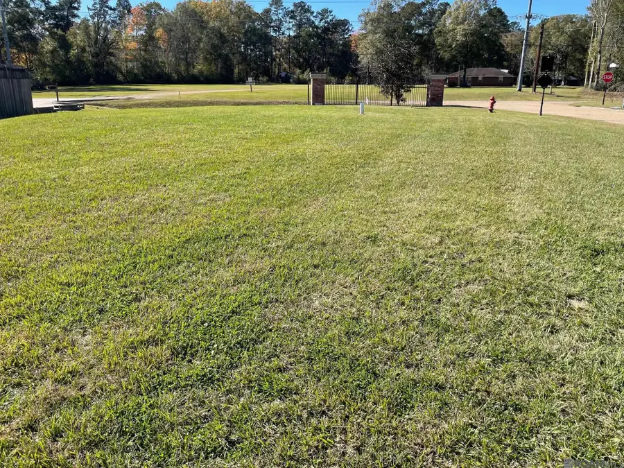 22-A Magnolia Garden Ct, Denham Springs, LA 70726 - #3