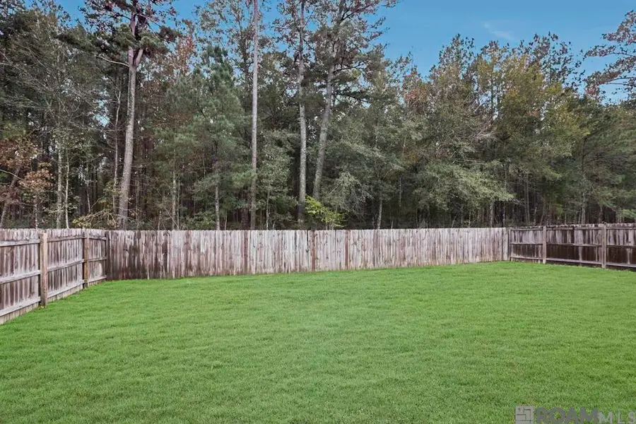 13166 Ribbonwood Dr, Denham Springs, LA 70726 - Image #3