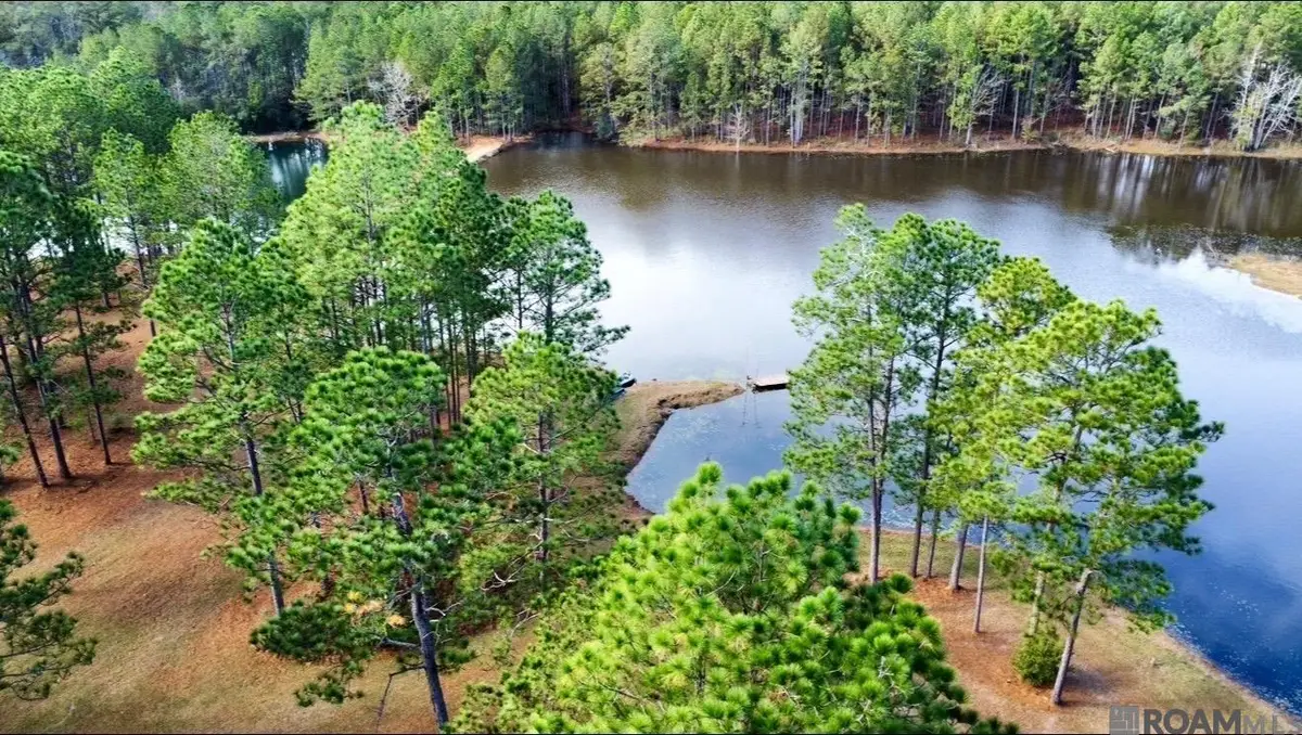 3947 Purvis Columbia Road, Lumberton, MS 39455 - #1