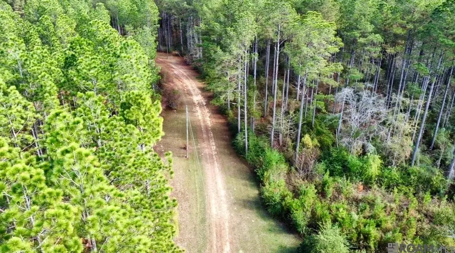 3947 Purvis Columbia Road, Lumberton, MS 39455 - #2