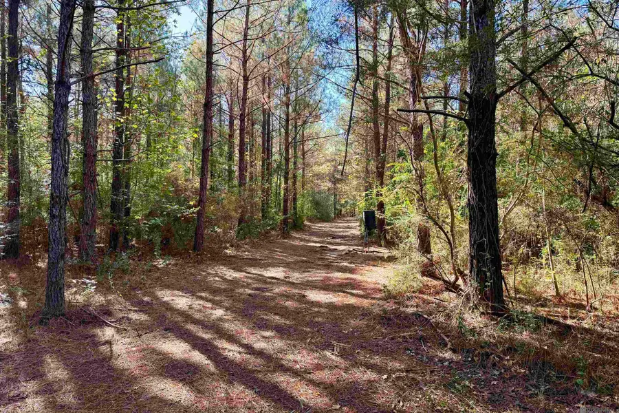 03 La Hwy 1047, Amite, LA 70442 - Image #2