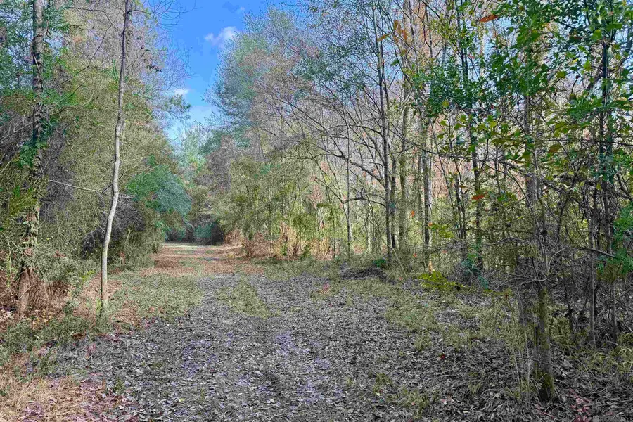 03 La Hwy 1047, Amite, LA 70442 - Image #3