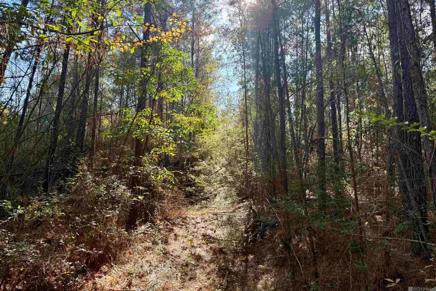 02 Hwy 1046, Amite, LA 70442 - Image #2