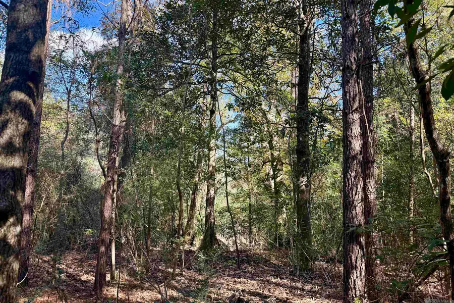 02 Hwy 1046, Amite, LA 70442 - Image #3