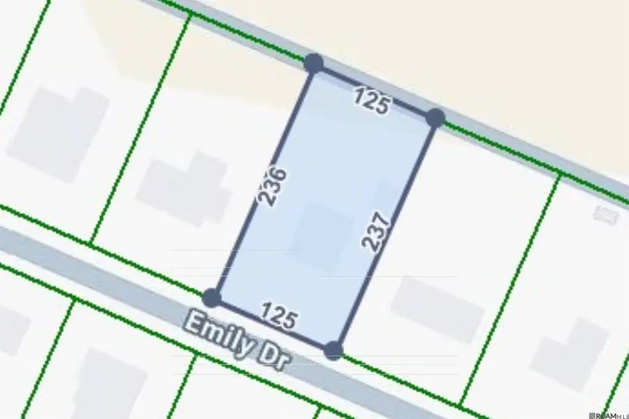 2742 Emily Dr, Port Allen, LA 70767 - Image #2