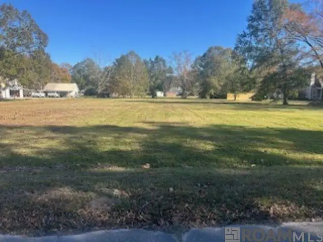 17394 Deerpath Ct, Prairieville, LA 70769 - Image #1