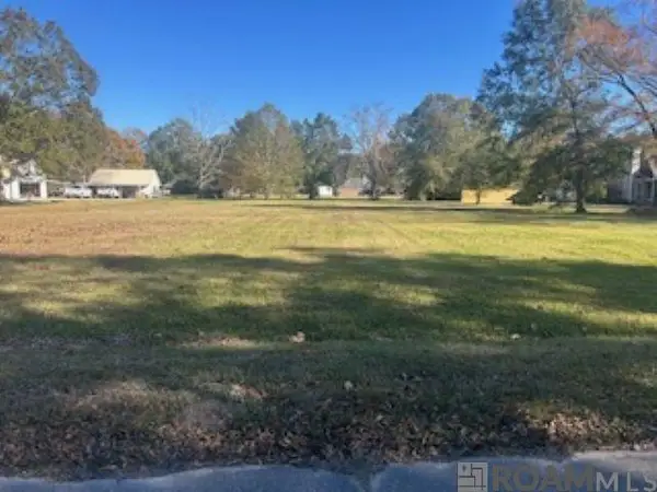 17378 Deerpath Ct, Prairieville, LA 70769