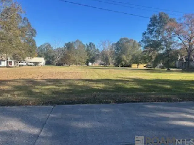 17394 Deerpath Ct, Prairieville, LA 70769 - Image #2