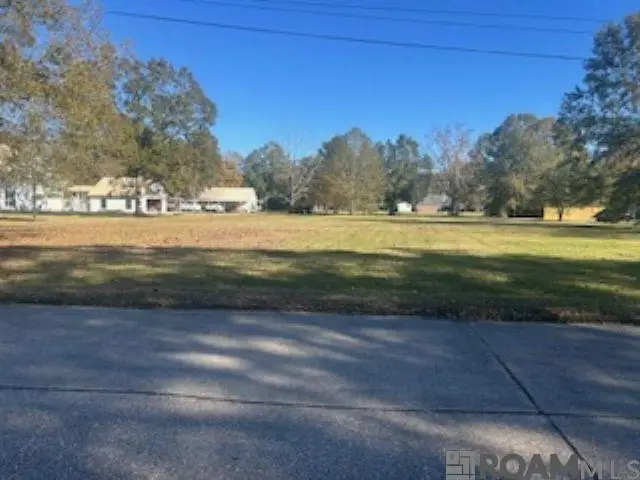 17394 Deerpath Ct, Prairieville, LA 70769 - Image #3