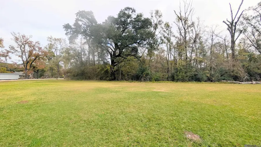 42575 La Hwy 42, Prairieville, LA 70769 - #2