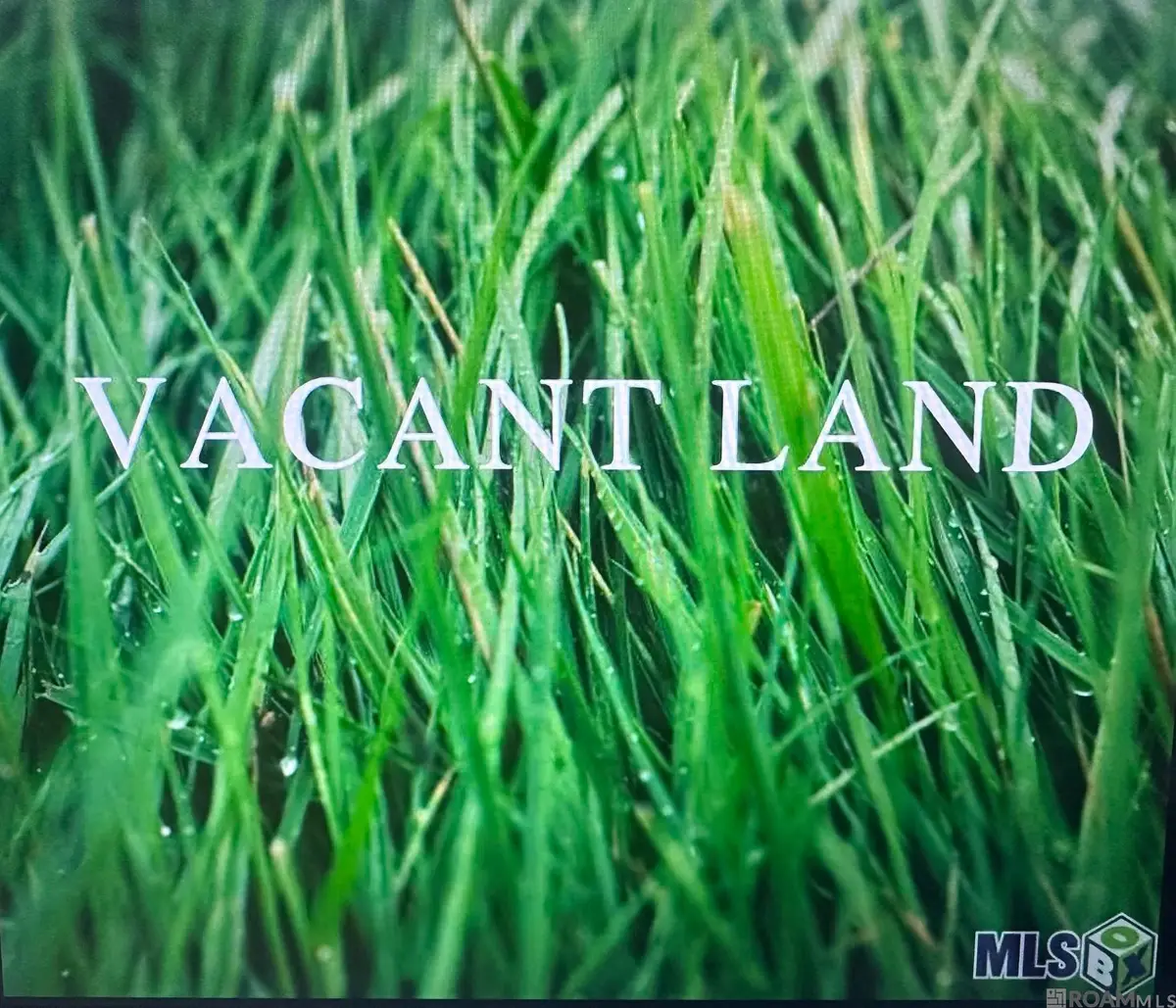 26110 Juban Rd, Denham Springs, LA 70726 - #1