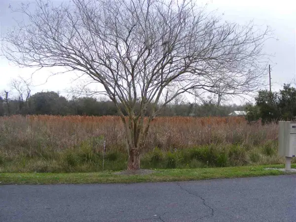 TBD-2 West 134th Place, Cut Off, LA 70345