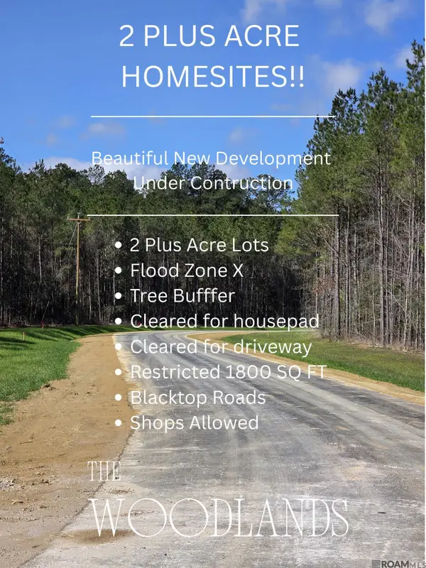 Lot 2 Honey Grove, Livingston, LA 70754