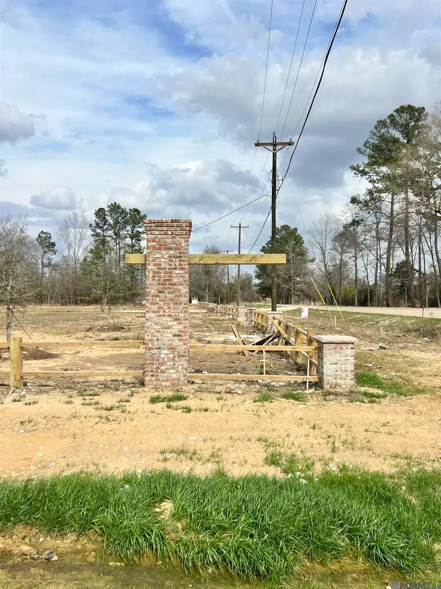 Lot 2 Honey Grove, Livingston, LA 70754 - #2