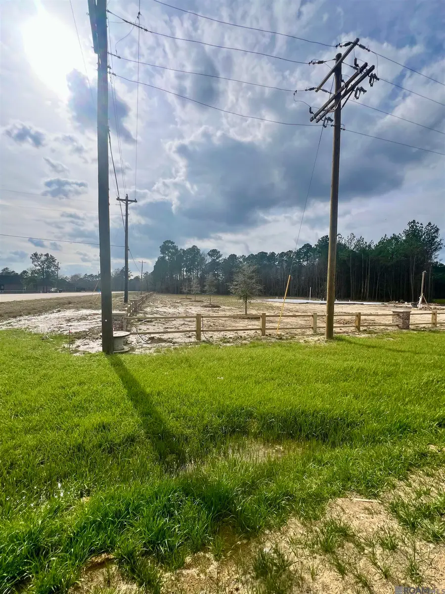 Lot 2 Honey Grove, Livingston, LA 70754 - #3