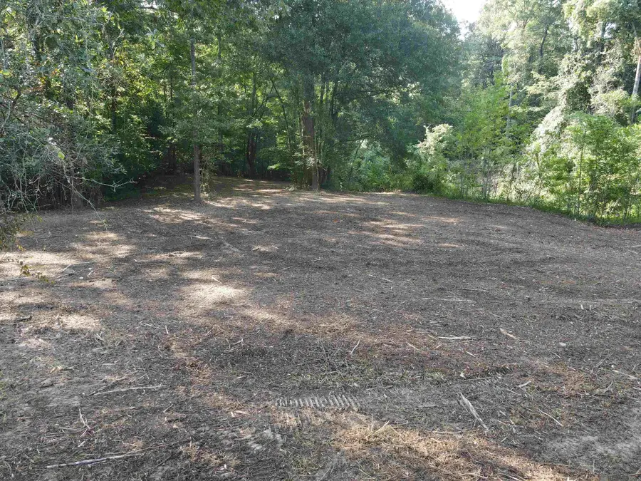 Lot 47 Treakle Dr, Zachary, LA 70791 - Image #2