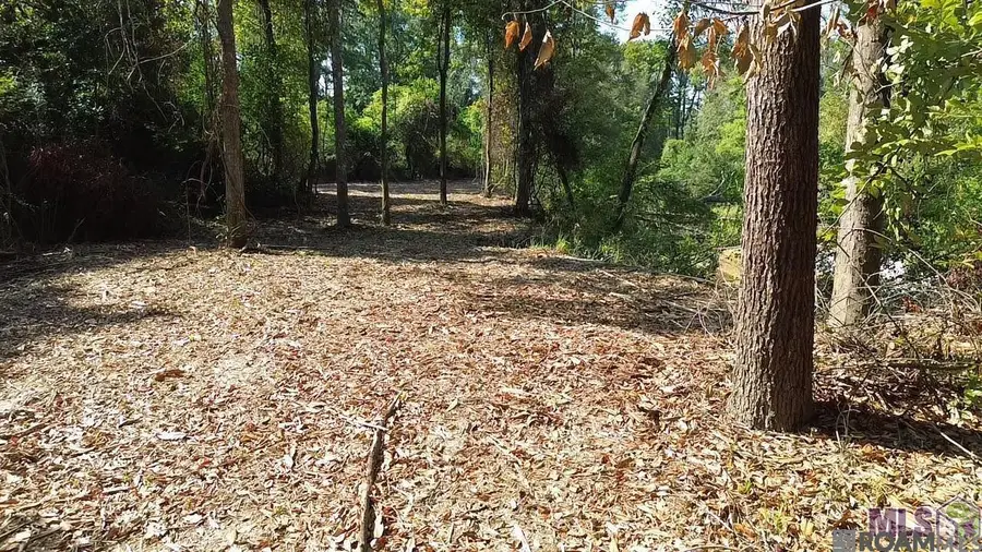 Tract R-1-B Hwy 43, Independence, LA 70443 - Image #3