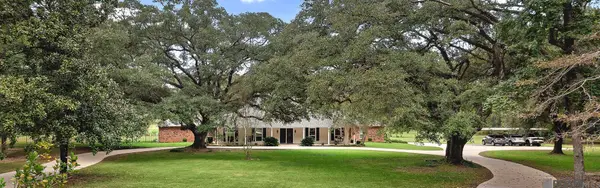 19167 S Fitzmorris Road, Covington, LA 70435