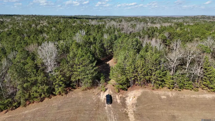 La Hwy 28 E, Boyce, LA 71409 - Image #2