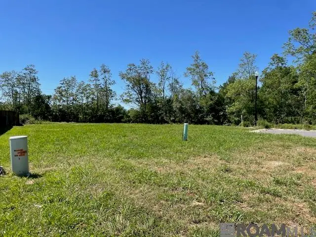 17457 Bull Rush Ave, Prairieville, LA 70769 - #3