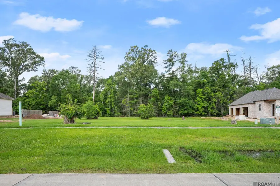 10608 Manchac Pass, Baton Rouge, LA 70817 - #2