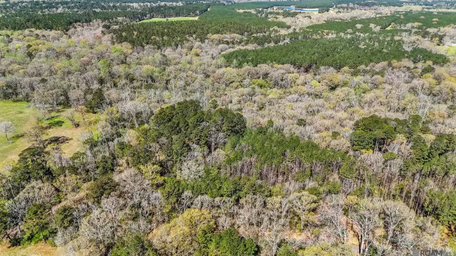 tbd Beechgrove, Clinton, LA 70722 - #3