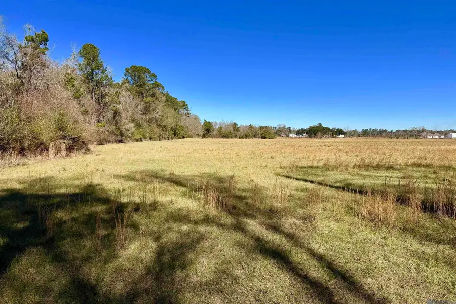 07 Old Hwy 51, Amite, LA 70422 - #2