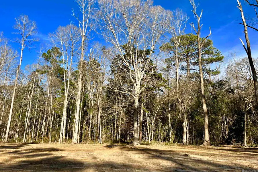 21 Lillian Ln, Ethel, LA 70730 - #2