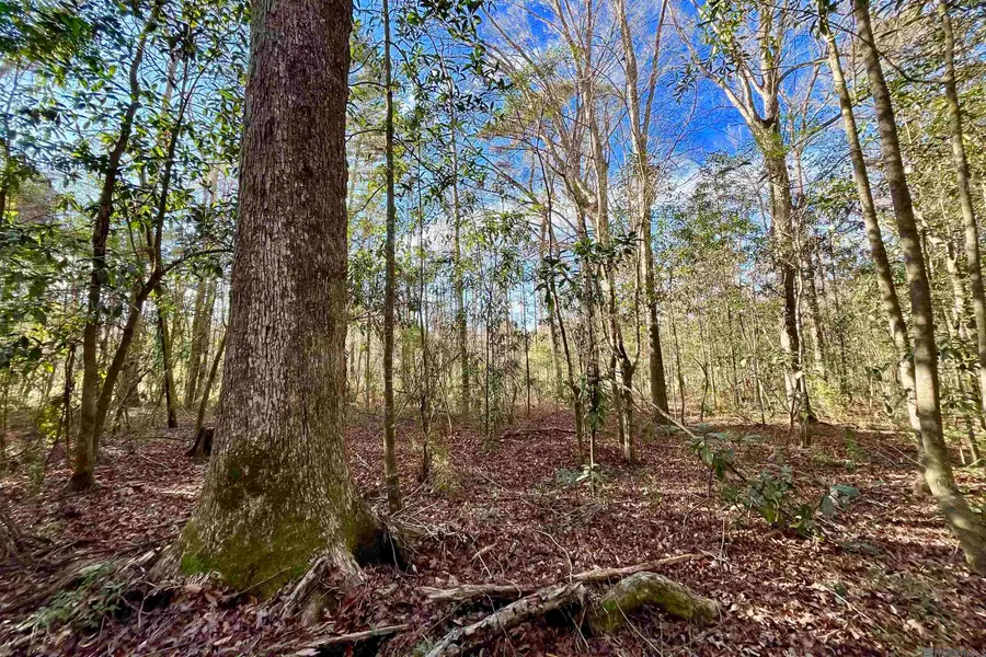 21 Lillian Ln, Ethel, LA 70730 - #3