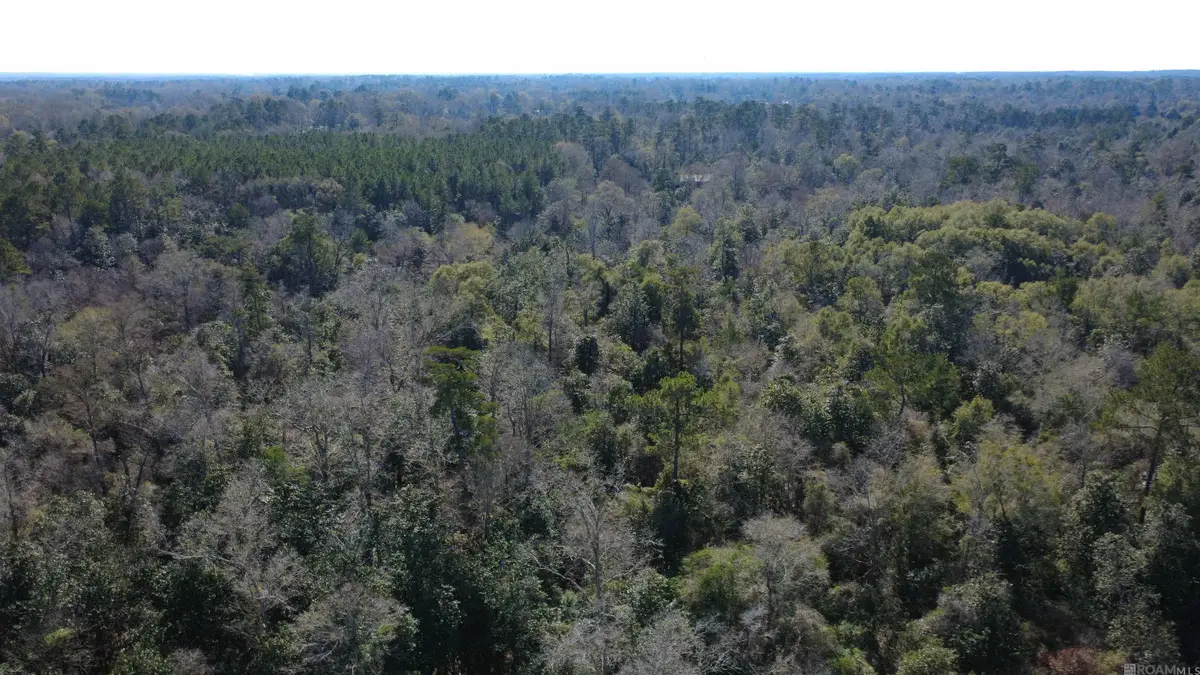 0000 Mcgehee Rd, Bogalusa, LA 70427 - #1
