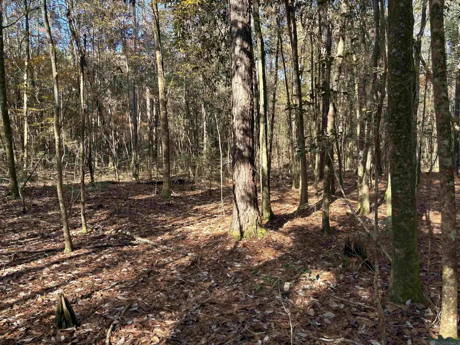 0000 Mcgehee Rd, Bogalusa, LA 70427 - #2