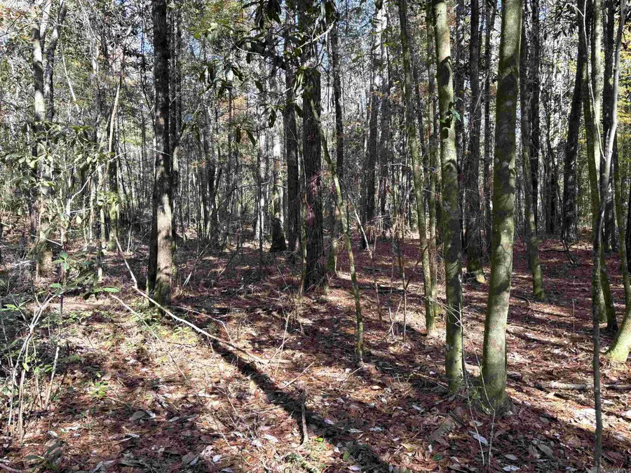 0000 Mcgehee Rd, Bogalusa, LA 70427 - #3