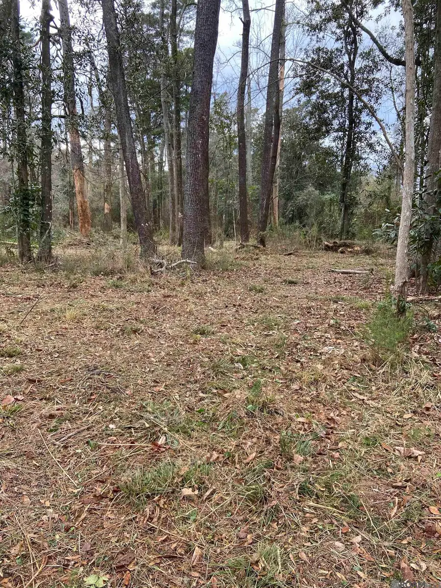 11123 Comeaux Ln, Denham Springs, LA 70726 - Image #2