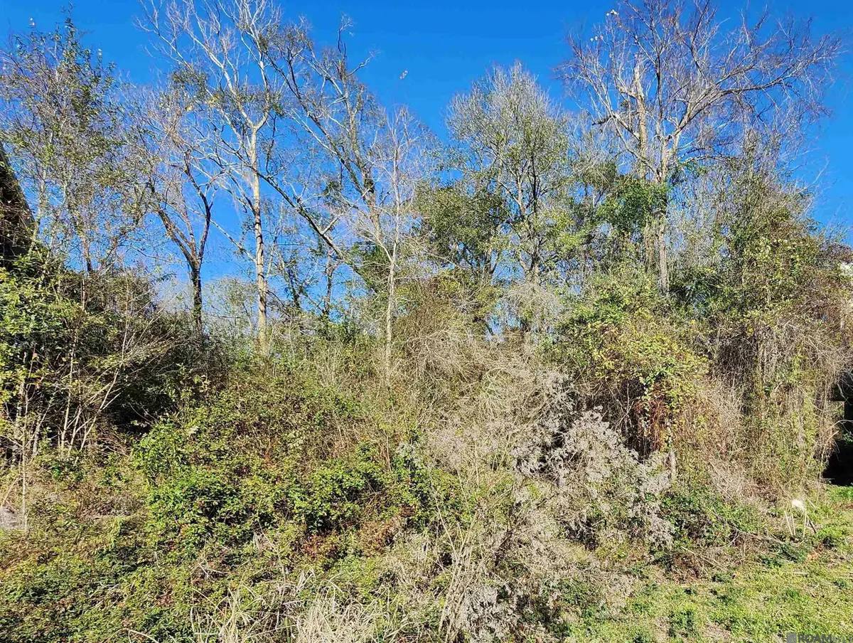 10321 Amite River Rd, Baton Rouge, LA 70817 - Image #1