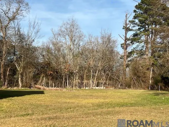 185 Pete Wilkes Rd, Marksville, LA 71351 - #3