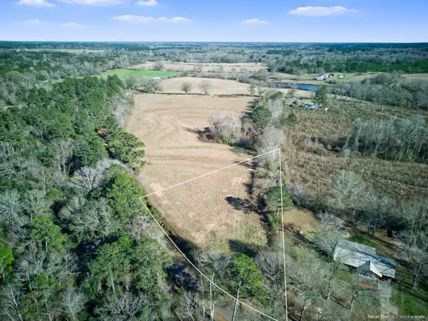Tract 9 R F Ball Road, Franklinton, LA 70438
