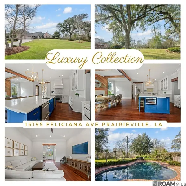 16195 Feliciana Ave, Prairieville, LA 70769