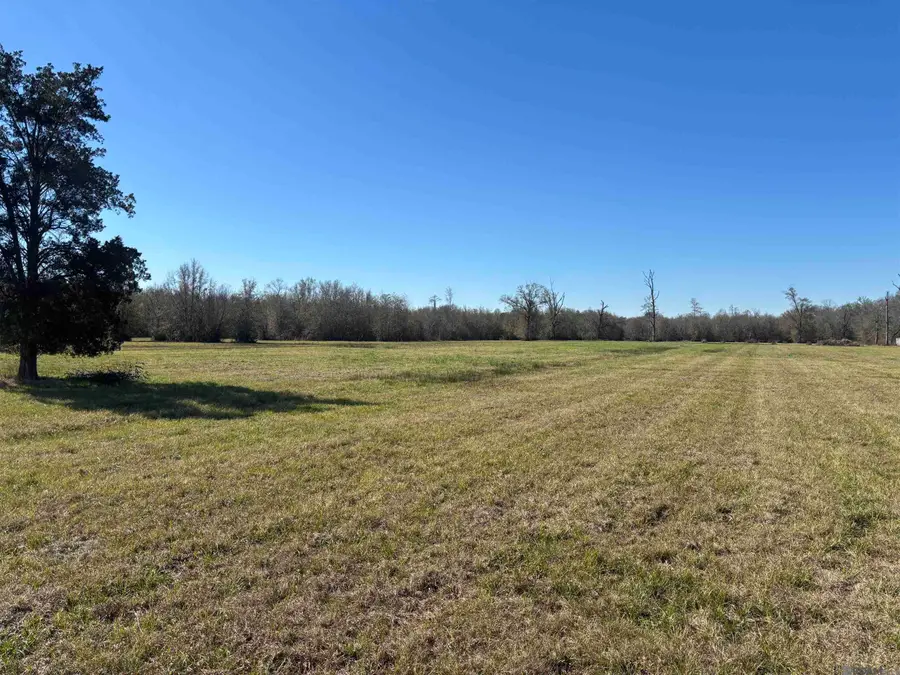 12176 La Hwy 431 Highway, Saint Amant, LA 70774 - #2