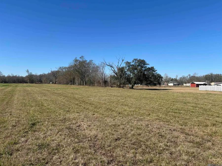 12176 La Hwy 431 Highway, Saint Amant, LA 70774 - #3