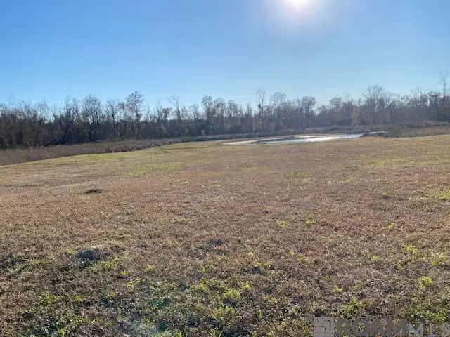 8557 New River Rd, Saint Amant, LA 70774 - #2