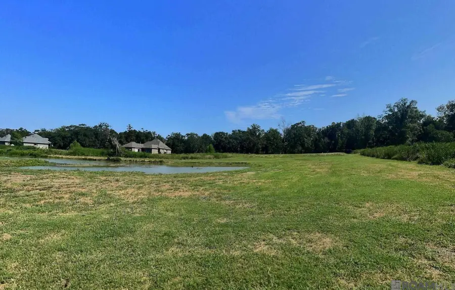 8557 New River Rd, Saint Amant, LA 70774 - #3