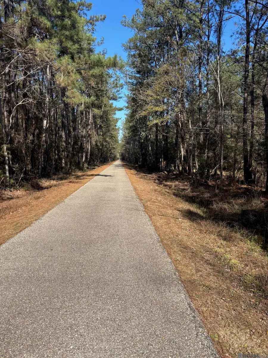 Lots 33 & 35 Labarre, Mandeville, LA 70448 - Image #2