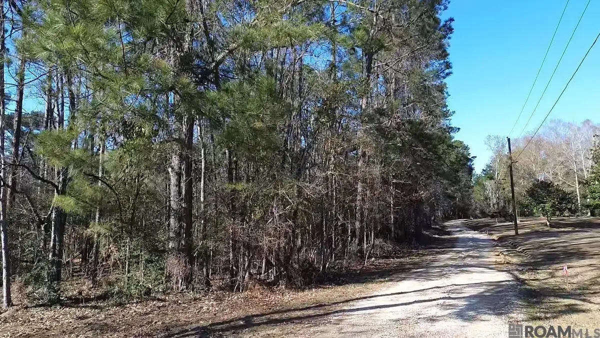 Tract C Mcclendon Ln, Amite, LA 70422 - #1