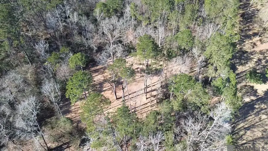 Tract C Mcclendon Ln, Amite, LA 70422 - #2