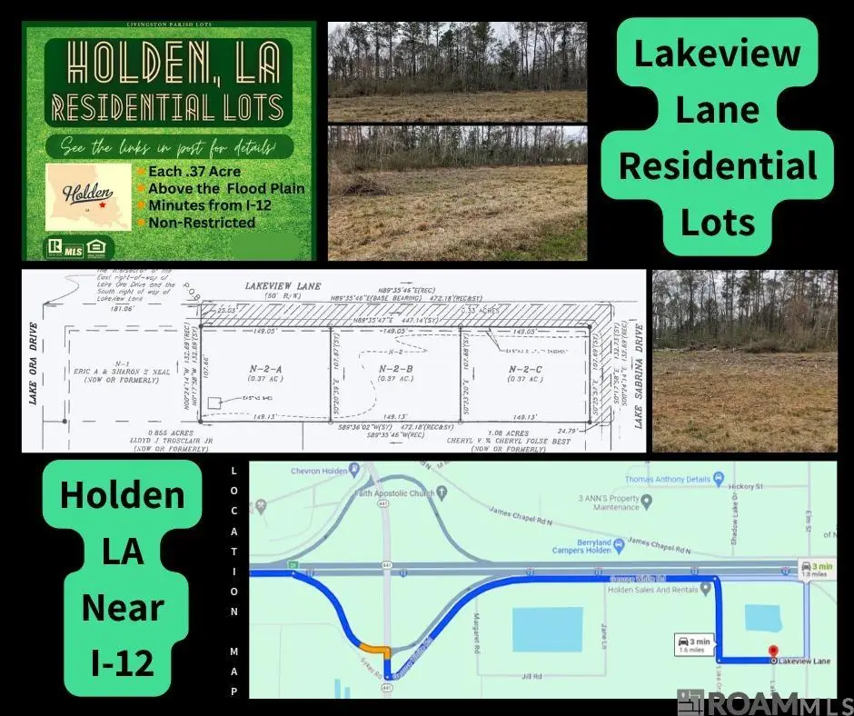 TBD Lot N-2-A Lakeview Ln, Holden, LA 70744 - Image #1